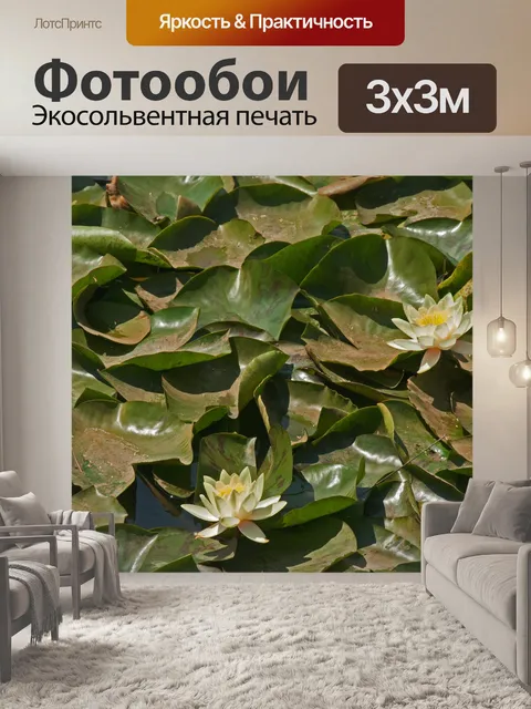 Фотообои белые кувшинки и большие листья