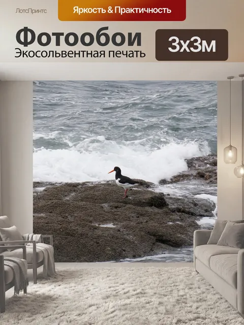 Фотообои Кулик-сорока на скале