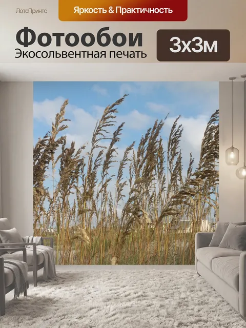 Фотообои Пляж