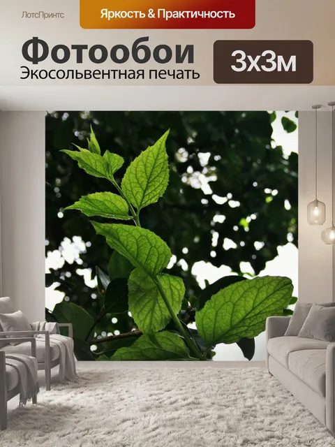 Фотообои ярко-зелеными листьями на ветку