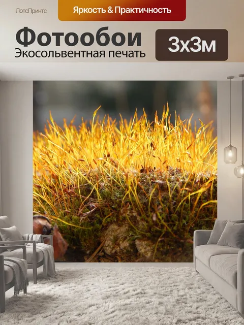 Фотообои Мосс