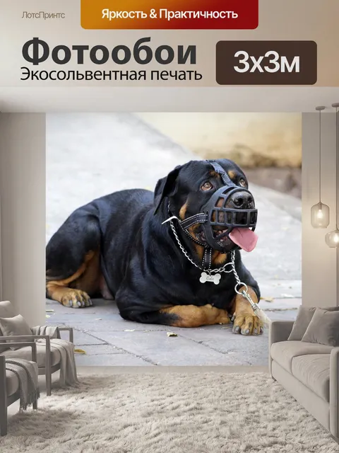 Фотообои Морда