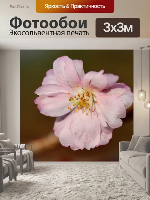 Фотообои Зимняя вишня