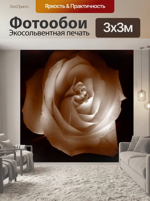 Фотообои Роза (1)