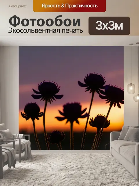 Фотообои цветы на фоне заката