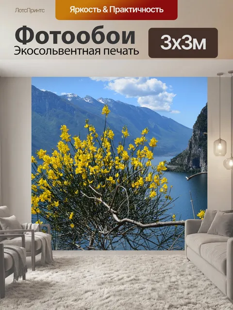 Фотообои Озеро гарда