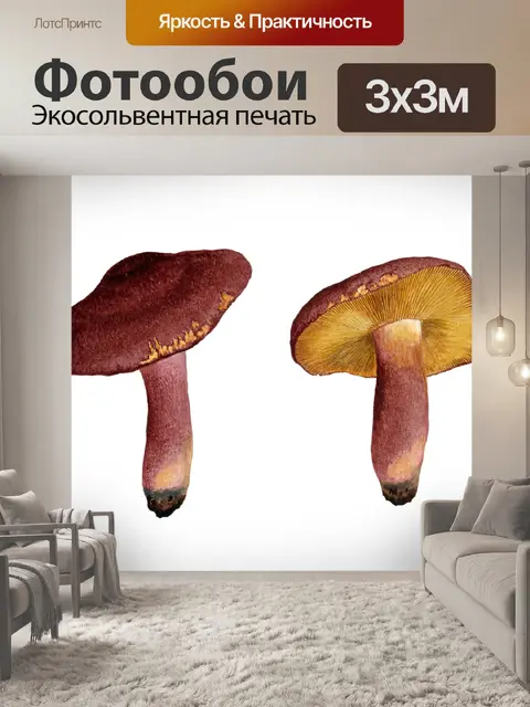 Фотообои Винтажные художественные иллюстрации гри
