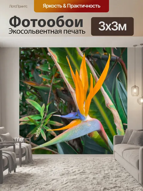 Фотообои Цветок райской птицы