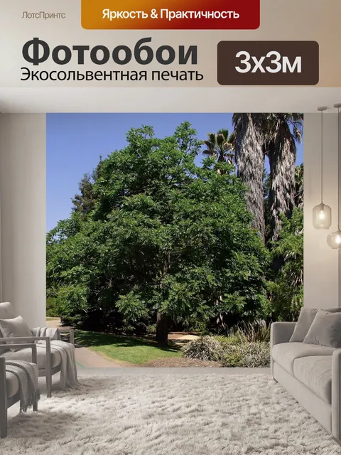 Фотообои Аркадия