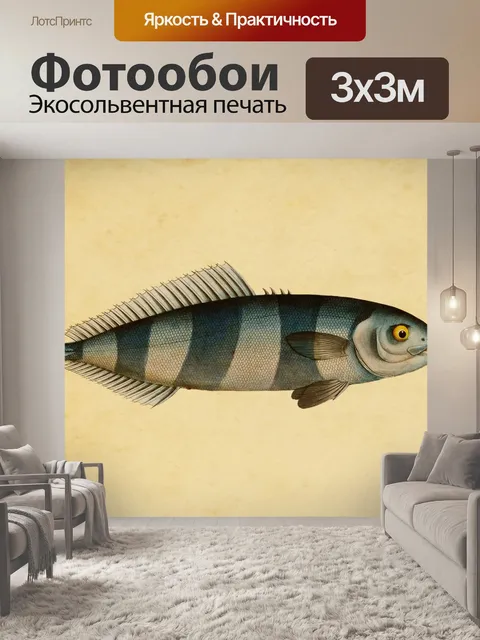 Фотообои Рыба Скумбрия Винтаж Принт