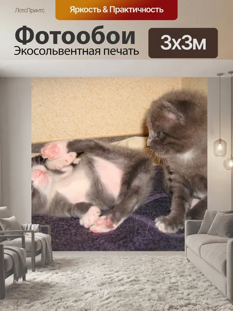 Фотообои Играя котят.