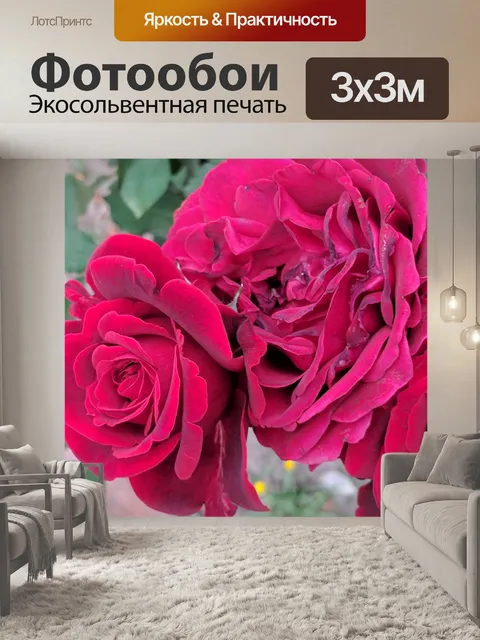 Фотообои Красные розы