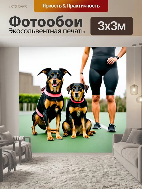 Фотообои собаки, позирующие с их владельцами в спортивной одежде, готовые к тренировке
