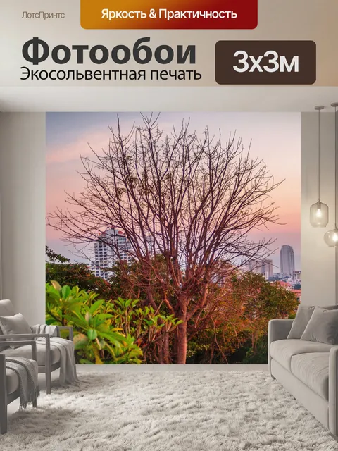 Фотообои Естественный закат, восход пейзаж