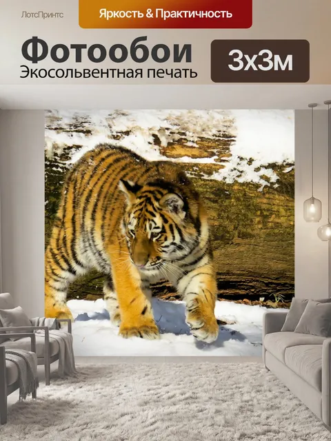 Фотообои Тигр