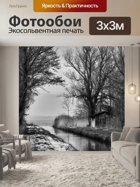 Фотообои Черно-белый