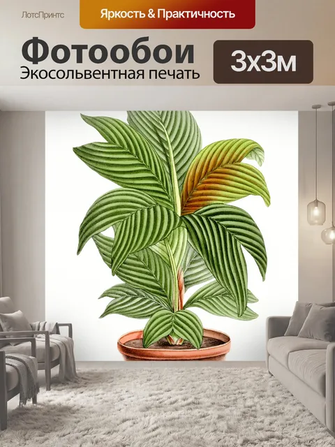 Фотообои Пальма растение в горшке старинное искус