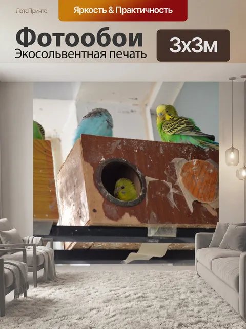 Фотообои Птица дом
