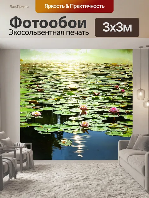 Фотообои водяные лилии, расположенные в центре большого поля, освещены нежным светом полуденного солнца