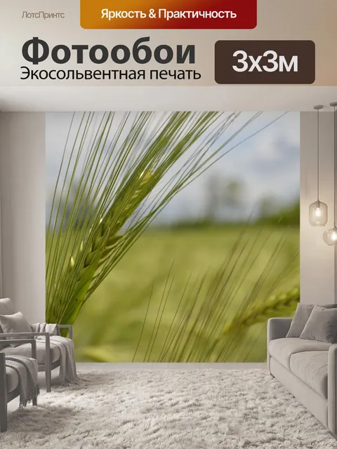 Фотообои Колос