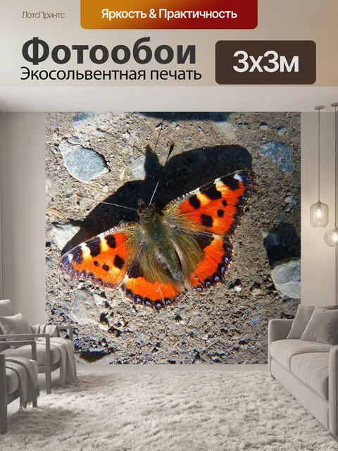 Фотообои Бабочка