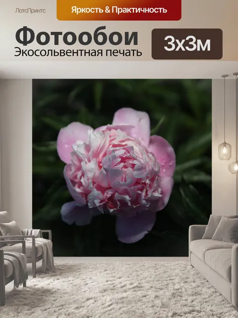 Фотообои Rose