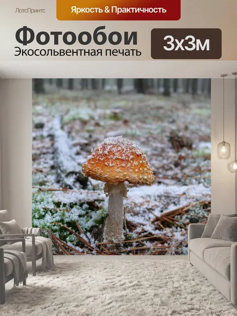 Фотообои Мухомор