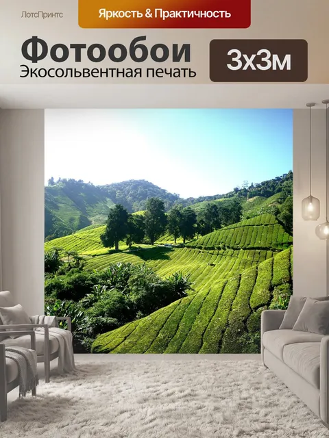 Фотообои Чайная плантация