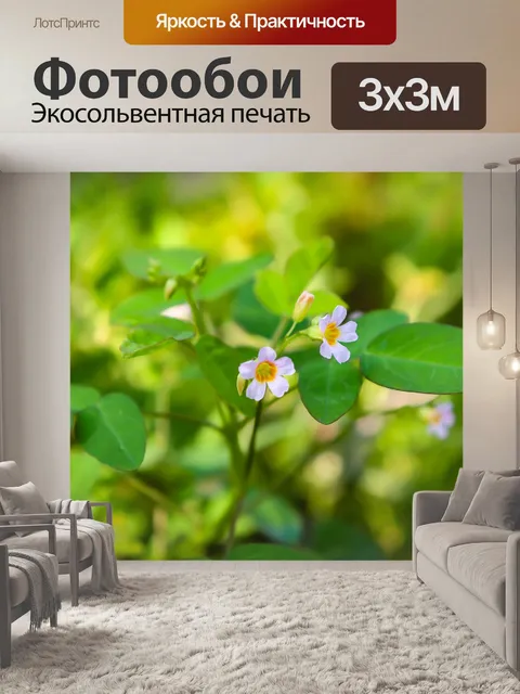 Фотообои Тропический