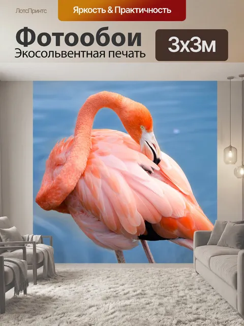 Фотообои Розовый фламинго