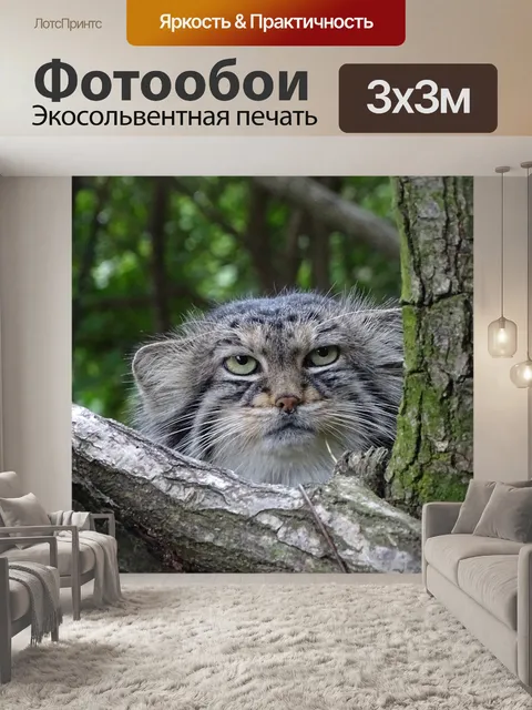 Фотообои Кошка дикая