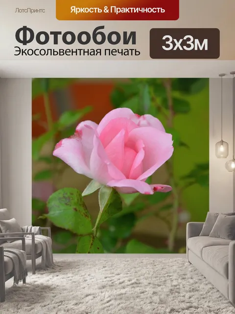 Фотообои Розовый