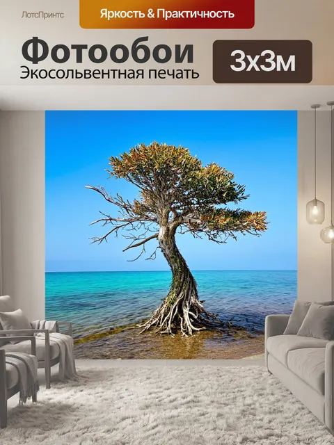 Фотообои такое морское дерево, растущее на берегу маленькой бухты