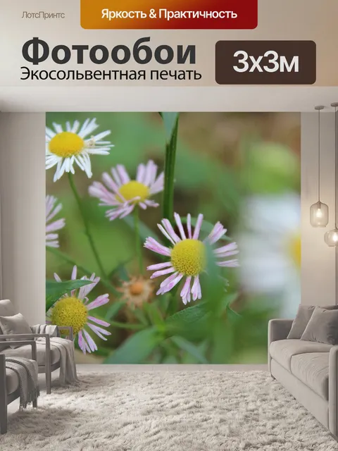 Фотообои Цветы