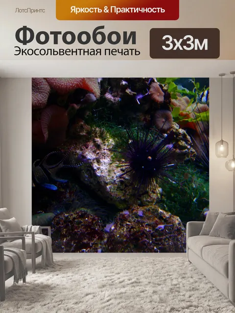 Фотообои Коралл