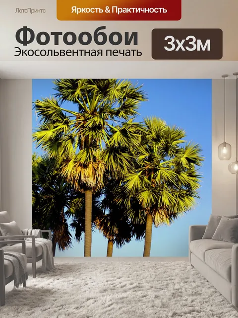 Фотообои пальмы