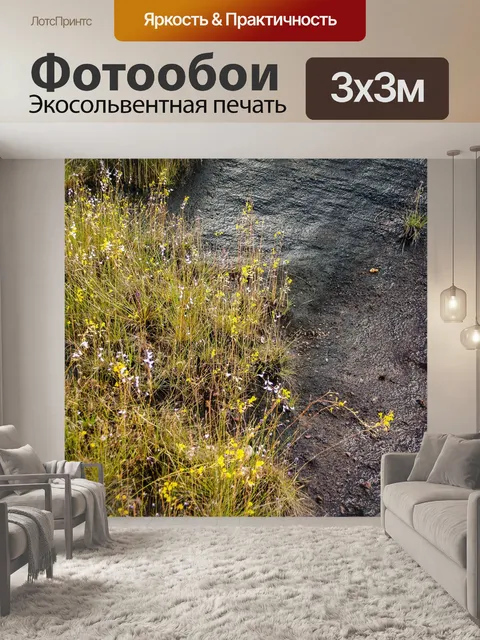 Фотообои Трава цветочное поле, полевые цветы