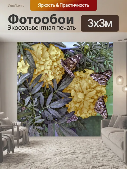 Фотообои Три бабочки