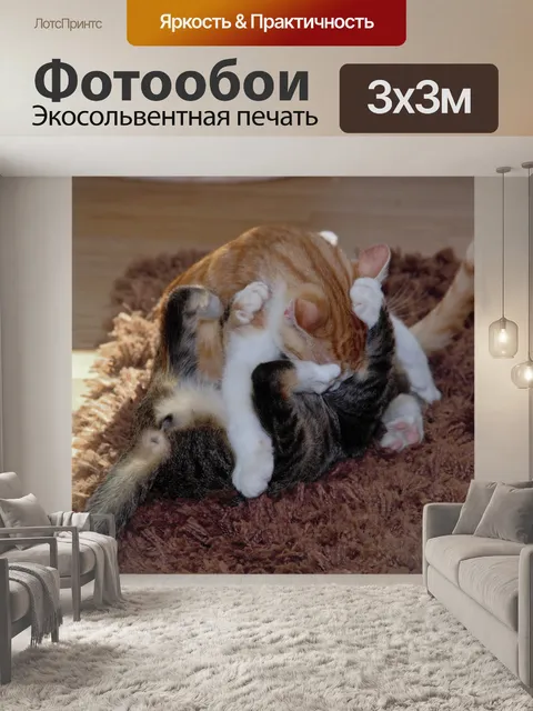 Фотообои Кошки