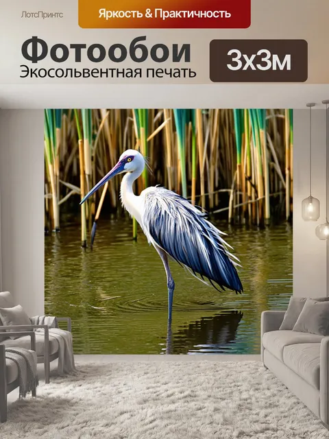 Фотообои фотография аиста, стоящего на берегу озера, вокруг которого растут тростники и камыш