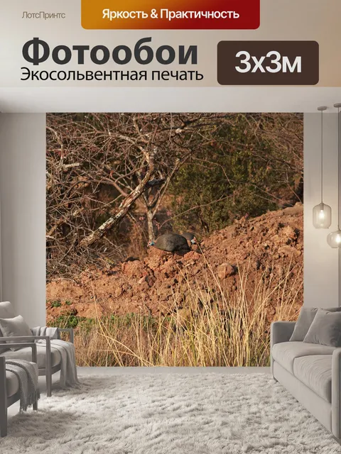 Фотообои цесарка на кургане земли