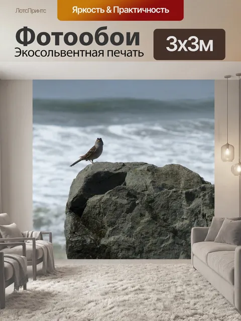 Фотообои Белый венценосный Воробей
