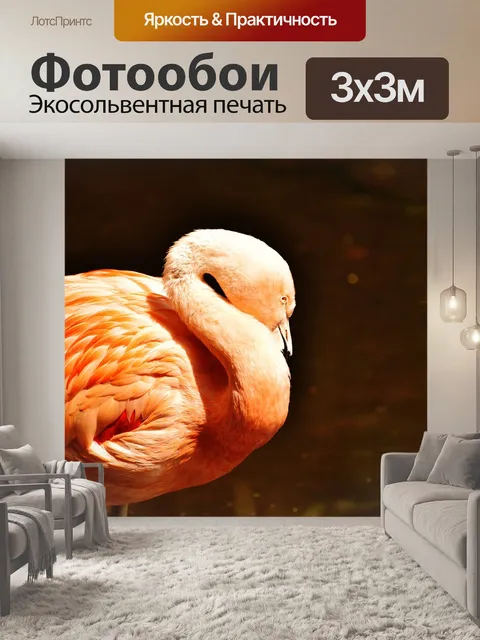 Фотообои Фламинго