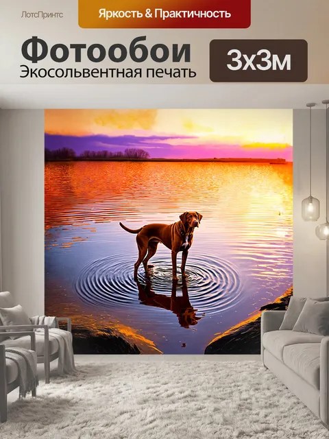 Фотообои коричневый лабрадор, стоящий на берегу спокойного озера на закате, его отражение расплывается на поверхности…