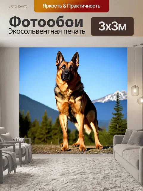 Фотообои массивная немецкая овчарка, стоящая на фоне величественных гор и леса, с ясным небом на горизонте