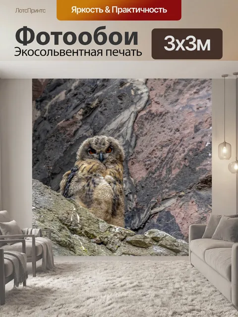 Фотообои Птицы