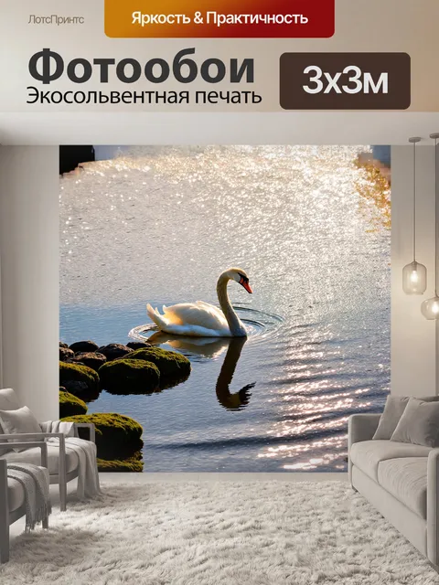 Фотообои лебедь, плывущий по зеркальной поверхности озера, отчётливо выделяется на фоне груды многогранных камней…