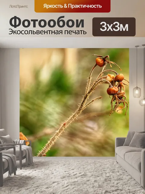 Фотообои Природа