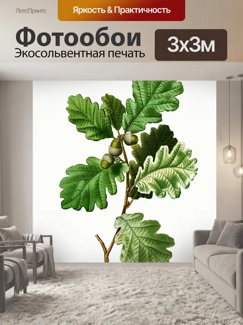 Фотообои Дубовый лист листва арт винтаж