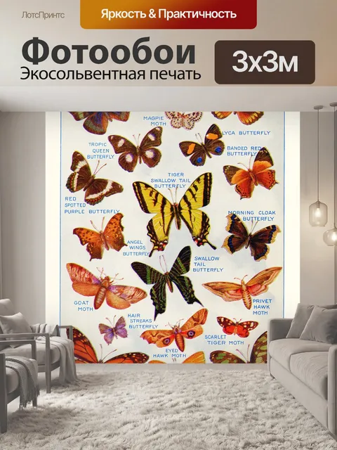 Фотообои Бабочки Винтаж плакат искусство